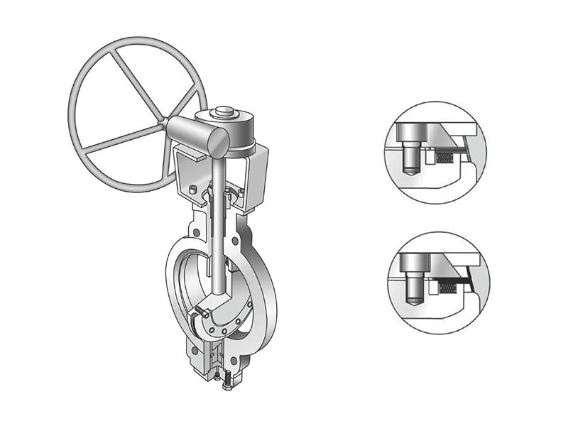 triple-offset-type